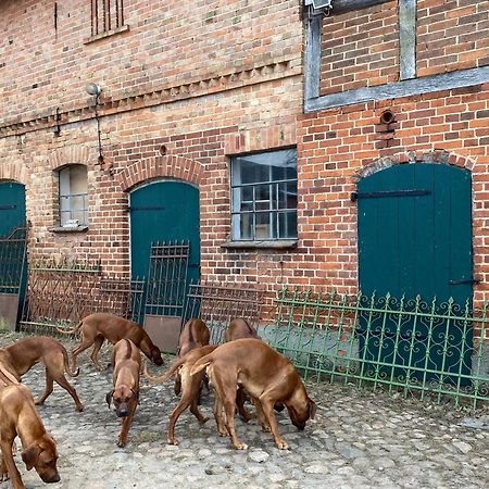 Bauernhof-Streichel-Zoo-Kombi-Familien-Suite-Im-Wald-Am-See Gulow Екстериор снимка